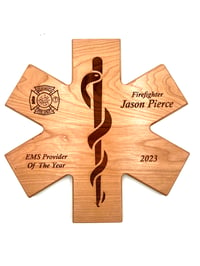 Image 2 of Star of Life Plaque
