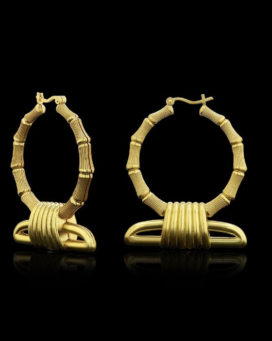 Image of Shen-boo earrings 