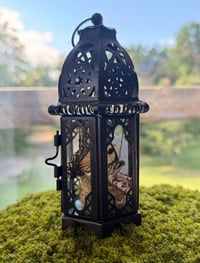 Image 1 of Swallowtail Lantern 