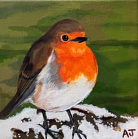 Robin in Snow