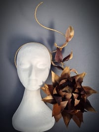 Image 3 of 'Cara' in Chocolates and Gold