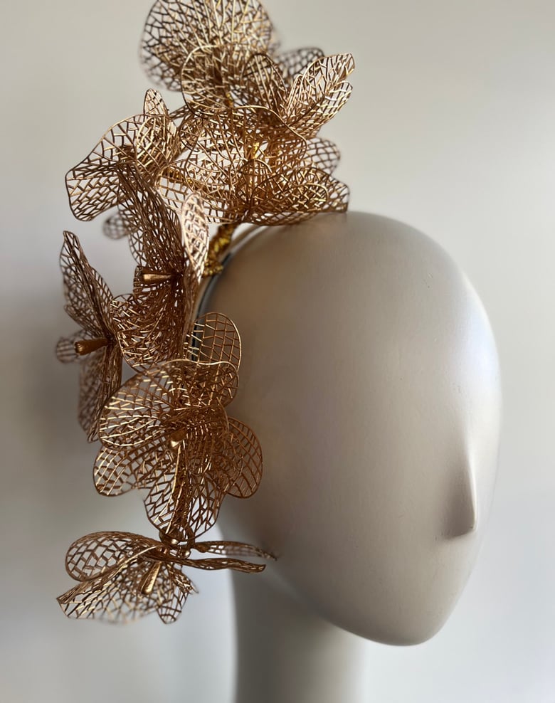 Image of Gold orchids