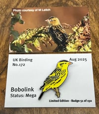 Image 1 of Bobolink - No.172 - UK Birding Pins