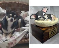 Image 15 of Custom Engraved Chihuahua Pet Urn Handpainted To Your Photos