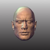 Image 11 of Rocky Unpainted