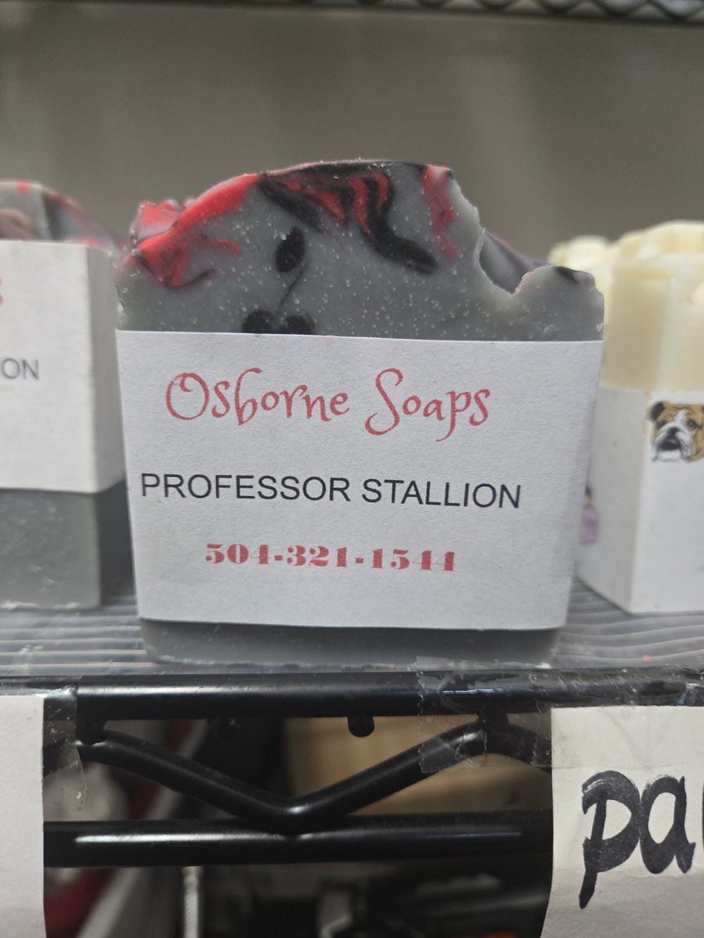 Image of Professor Stallion 