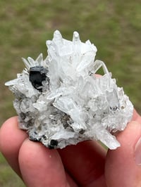 Image 13 of Huebnerite & Fine Quartz Points Specimen #2617