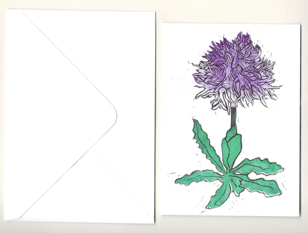 Image of Naked Man Orchid card set