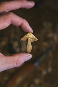 Image 5 of Mushroom Pedant - 