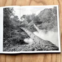 Image 3 of Tito Mouraz - The House Of The Seven Women 