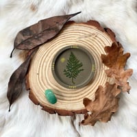 Image 1 of Décoration « Fougère magique »