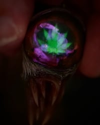 Image 14 of Chroma Fang Relic Pendant - 2" Handmade Color-Shift OOAK