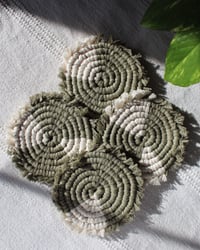 'SAGE' Coasters Set of 4