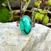 Image 1 of Dry Desert Oasis Variscite Ring