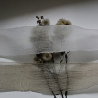 Image 1 of Silk chiffon ribbons