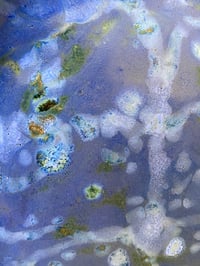 Image 3 of Plato Llano Mariposa 