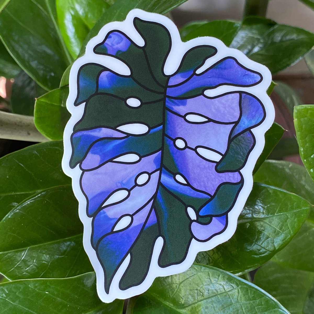 Image of Monstera Sticker