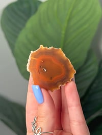 MINI FIRE BALL AGUNA AGATE