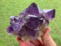 Image 7 of Amethyst Points Cluster | Congo #2870
