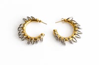 Image 1 of Aura Link Hoops