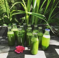 Image 13 of Japanese Garden Mini Sanctuary Session 