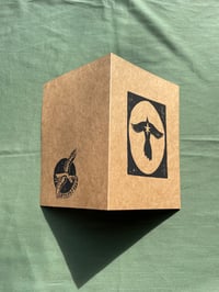 Image 3 of Starbird Greeting Card