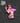 Marin-Chan Succubus Peeker