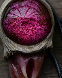 Image 8 of Magenta Bloom Snaggletooth Pendant OOAK