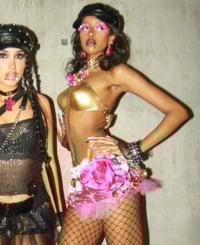 Image 2 of Mannequin Gold Breastplate