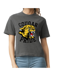 Image 3 of Vintage Cougar pride