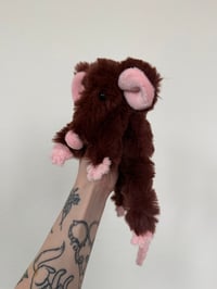 Image 13 of Mystery Rat Pre-Orders 