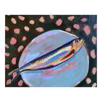 Image 1 of Sardine on Pink Spots