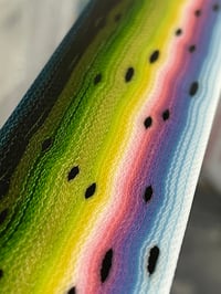 Image 3 of Thin Rainbow Trout V2 by Mikie