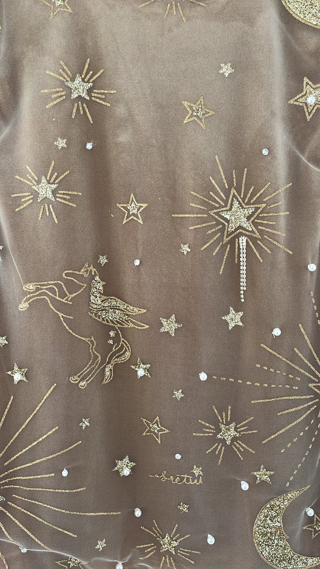 Sparkly horse, star, sun and moon sequin details tulle and champagne velvet dress
