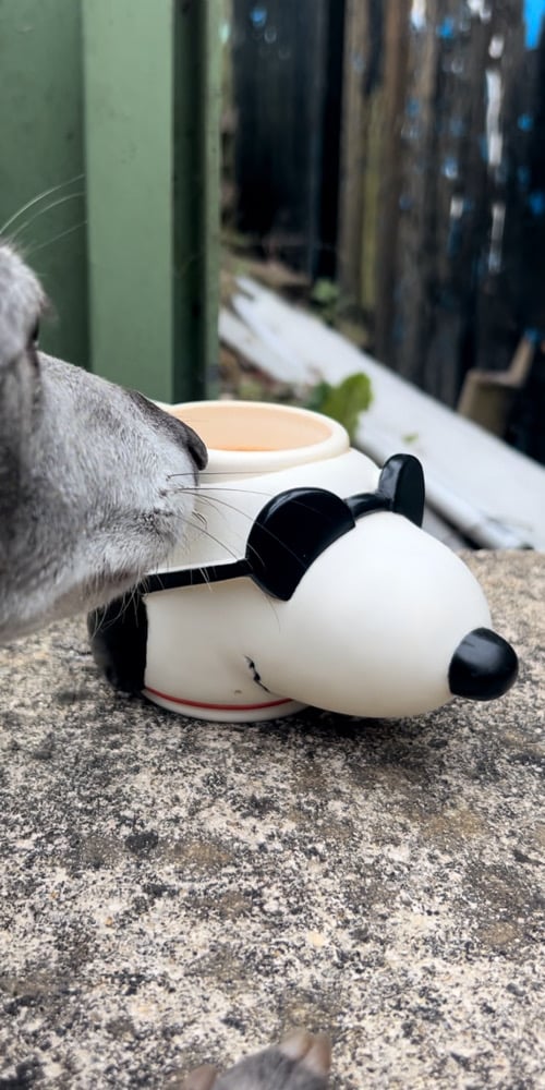 Image of The mug of all mugs 
