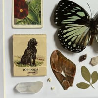 Image 2 of trinket frame #1