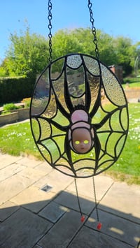 Image 1 of Doll faced widow spider