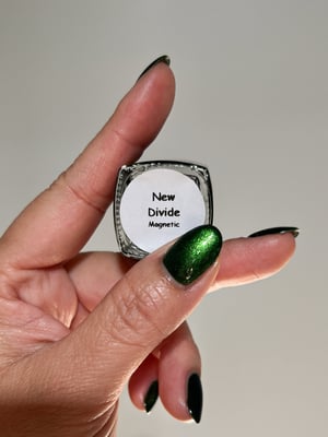 Image of New Divide