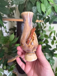 Image 8 of Mushroom or Slug