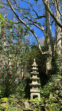 Image 16 of Japanese Garden Mini Sanctuary Session 