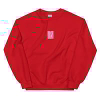 Image 15 of THE RN CREW