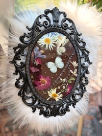Image 1 of Cabbage White Antique Frame