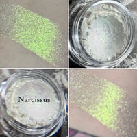 Narcissus- Eyeshadow Topper Shifting Color