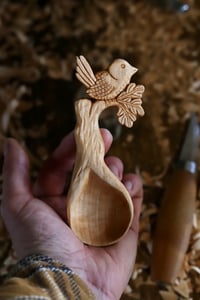 Image 7 of The Wren in The Oak Coffee Scoop