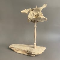 Image 5 of 40x12x35