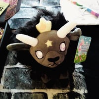 Image 5 of Anastasia Virgas Dark Little Pieces Dark Romance Book Box