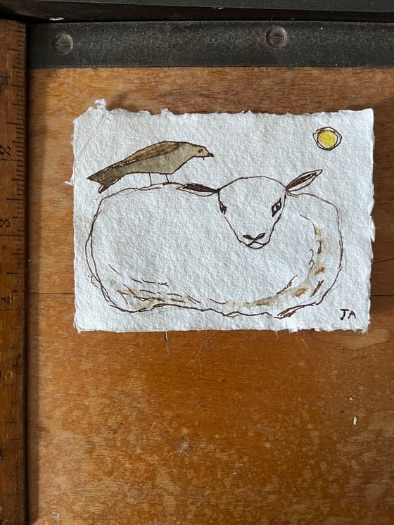 Image of Sheep and bird resting. 