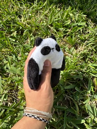 Image 4 of Mini Panda bloog