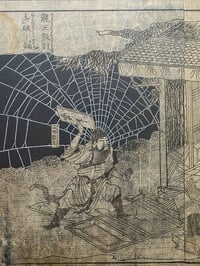 Image 4 of 1800s - Japanese collection with preserved webs. 4