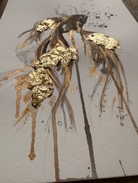 Image 4 of Poisson 
